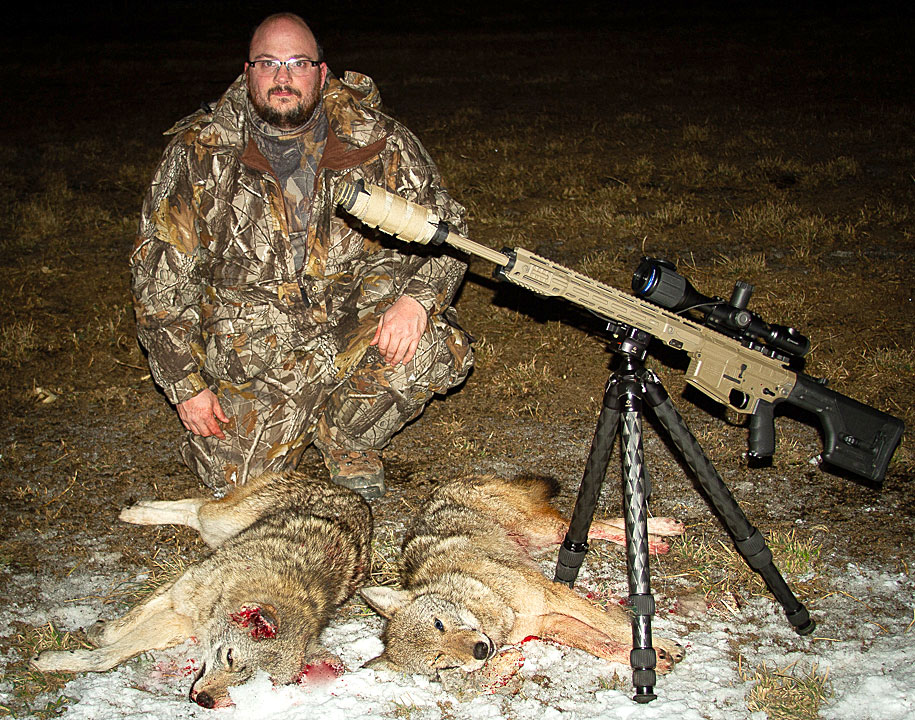 Coyote Predator Hunting