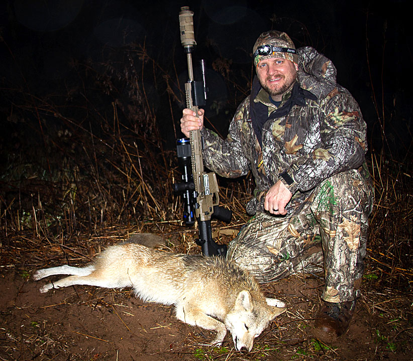 Coyote Predator Hunting